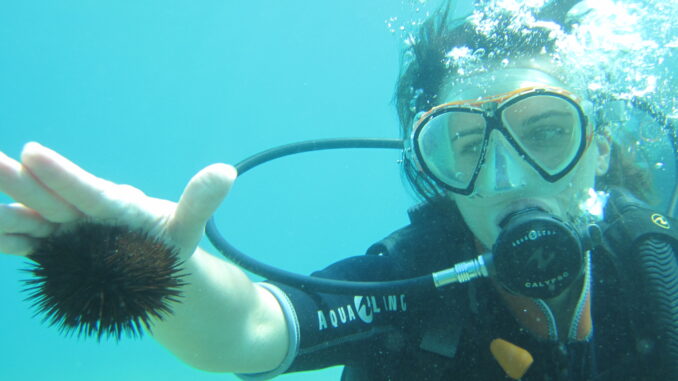 071 Oceans Edge Abenteuer: Tauchen