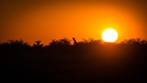 Afrika in der Abendsonne