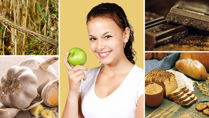 Cholesterin Collage Titelbild Final