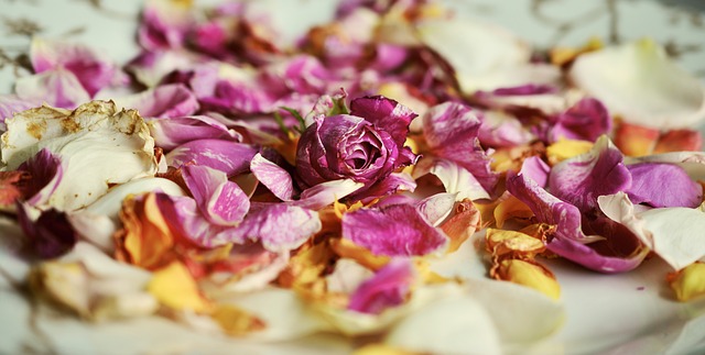 Rosenblätter und Sheabutter