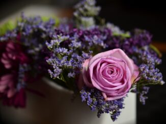 Geschenke für Rosenfreunde