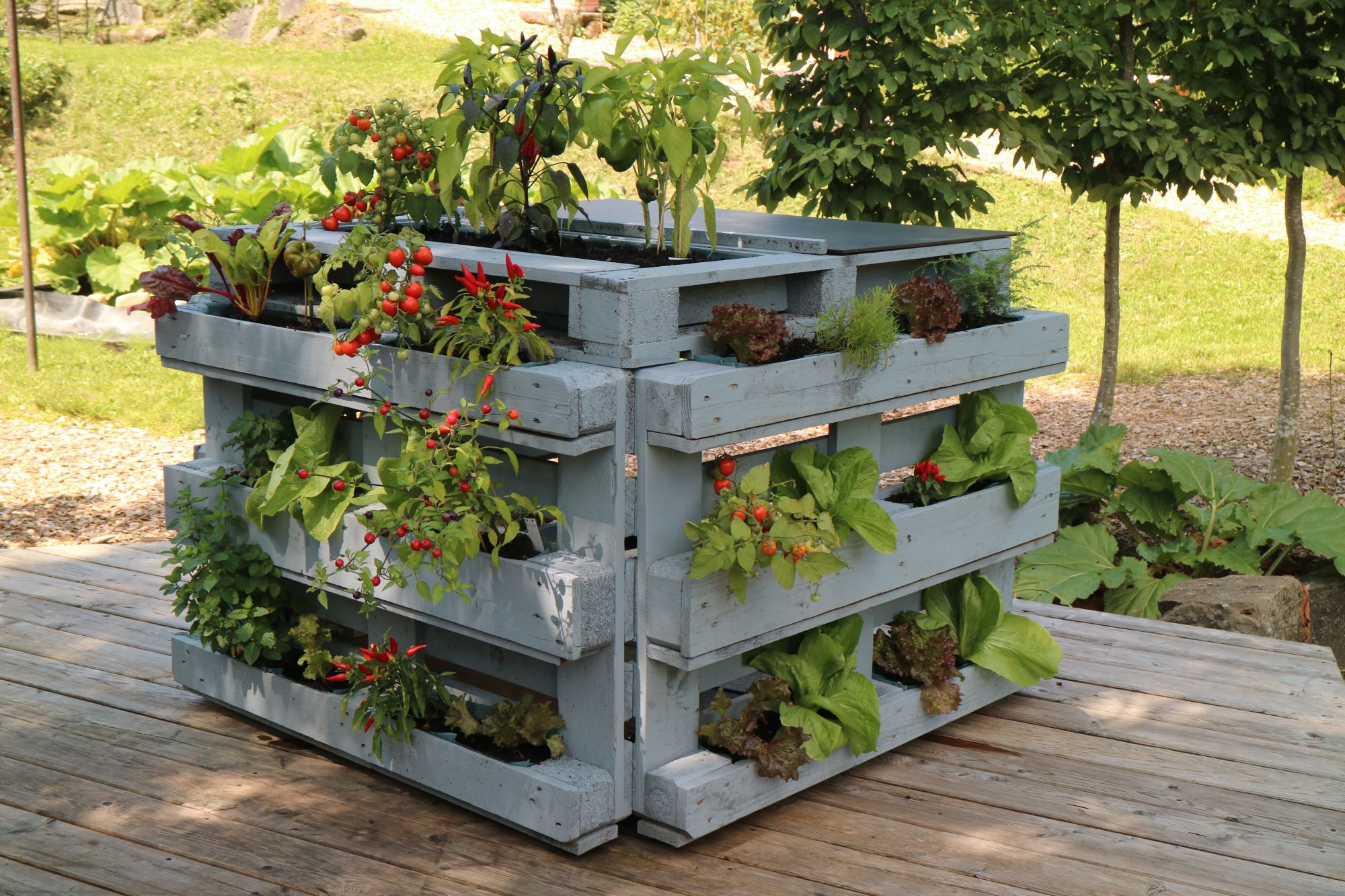 50+ Palette Gemüsegarten, Erfahren sie, wie sie mit recycelten