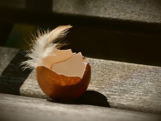 Osterdekoration aus Eierschalen