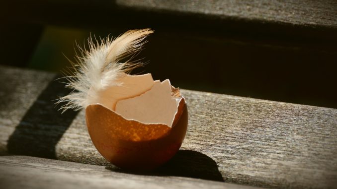 eierschale Osterdekoration aus Eierschalen