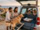 Mietwagen mit Hund